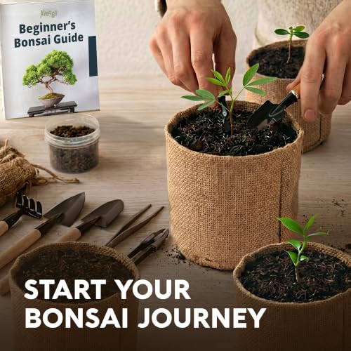 Bonsai Tree Kit Deluxe - Growing 5 Unique Japanese Bonzai Trees | Complete Indoor Bonsai Starter Kits for Growing Trees – Plant Lovers Gifts for Women & Men