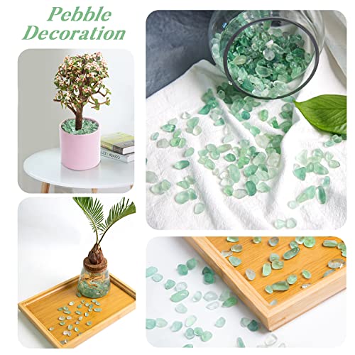 QICQDRAM Green Flourite Crystals Bulk Tumbled Chips Stone Natural 1LB | Small Tumbled Stones Crystal Chips Bulk for Healing Crystals Fish Tank Gravel Vase Filler (405g/14.28oz) - color: Green Flourite