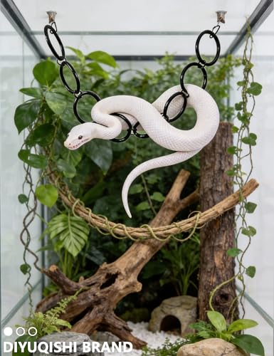 2-Pack Snake Climbing Ring and Chain, Acrylic Ball Python Enrichment Toy | Scratch-Free, Scale-Safe Construction