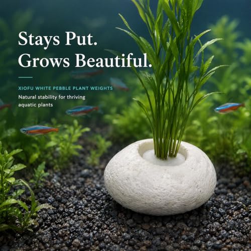 3 Pack White Pebble Plant Weights for Aquarium, Natural Drilled Stone Plant Anchors with 1.2 Inch Hole & Foam Sponge, Aquatic Plant Holders for Fish Tank, Terrarium, Succulent Planter - color: 1.2″ Hole 6pcs