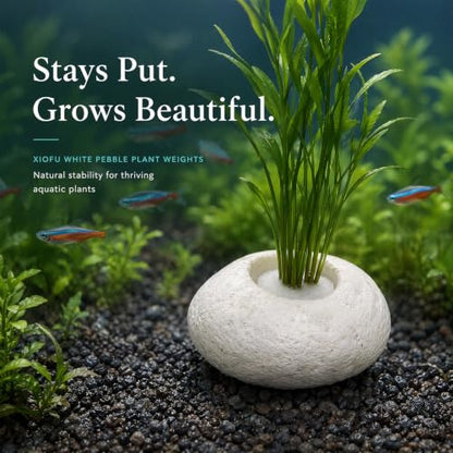 3 Pack White Pebble Plant Weights for Aquarium, Natural Drilled Stone Plant Anchors with 1.2 Inch Hole & Foam Sponge, Aquatic Plant Holders for Fish Tank, Terrarium, Succulent Planter - color: 1.2″ Hole 6pcs