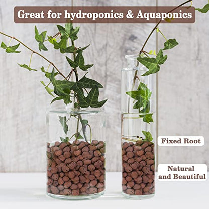 2LB Leca Clay Pebbles for Plants, 4mm-16mm Clay Balls for Hydroponic | Drainage, Reusable, Aeration, Moisture Retention, Lightweight, Natural Leca for Orchids, Succulents, Terrariums, Aquaponics - size: 2LB