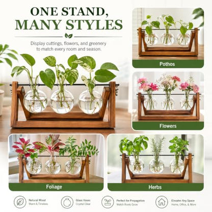 Plant Propagation Station, Plant Terrarium with Wooden Stand | Unique Gardening Birthday Gifts for Women Plants Lovers, Home Office Garden Decor Planter - 3 Bulb Glass Vases - size: 3 Bulb Vase
