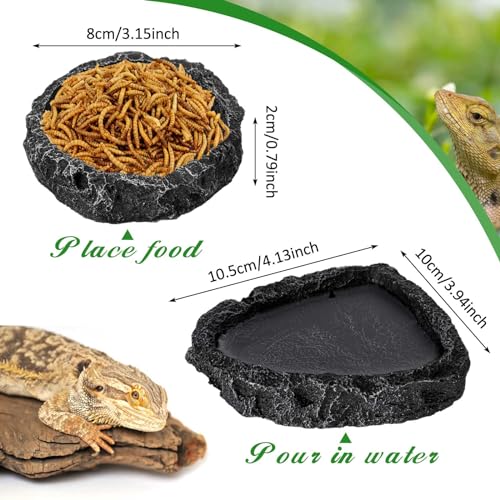 Jingmore 4 Pcs Bearded Dragon Food Bowl Set Reptile Snake Feeding Accessories Stainless Steel Reptile Feeding Tongs with Rubber Clamp for Bearded Dragon Lizard