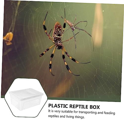 1Pc Plastic Transparent Reptile Feeding Box with Special Door for Gecko Snake Tortoise Spider Durable Material Escape Design for Reptile Care and Pets