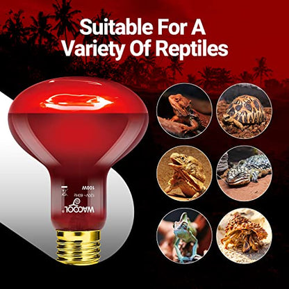 WACOOL 2 Pack Reptile Heat Lamp Bulbs,100W Infrared Basking Spot Light for Reptiles & Amphibians, Red Heat Lamp Bulb for Bearded Dragon Gecko Turtle Lizard - style: 100W-2 PACK