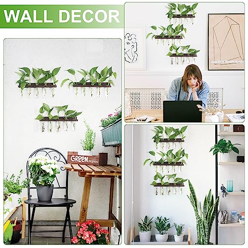 Wall Hanging Plant Propagation Station 15 Glass Test Tubes - Brown | 3 Tiered Vase Planter for Hydroponic Home Garden Office Decor, Gardening Gifts for Women Plant Lover - size: 3 Tiers - 15 Vases