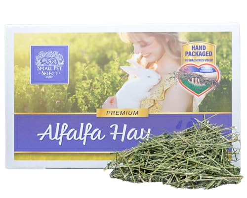 Small Pet Select Alfalfa Hay Pet Food, 20 LB - size: 20 Pound (Pack of 1)