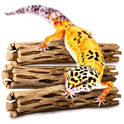 SunGrow Leopard Gecko Cholla Wood, 5 Inches Long, Create Basking Spot, Artistic Home-Decor, Lizards and Bearded Dragons, 3-Pack