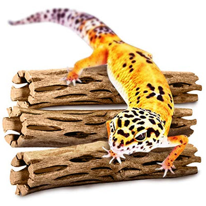 SunGrow Leopard Gecko Cholla Wood, 5 Inches Long, Create Basking Spot, Artistic Home-Decor, Lizards and Bearded Dragons, 3-Pack