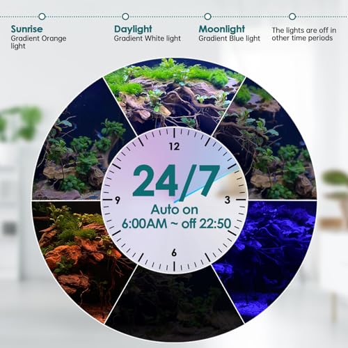 hygger Dual-Channel Controller Submersible Aquarium LED Light, 24/7 Mode Full Spectrum Hidden Fish Tank Light with 3 Rows Beads 7 Colors Auto On Off, Adjustable Timer Brightness (2)