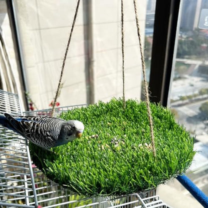 FlidRunest Large Bird Foraging Mat Toys, Natural Bird Grass Hammock Swing Toy with Hooks, Climbing Perch Hanging Toy for Parakeets, Parrot, Cockatiels, Bearded Dragon, Snake