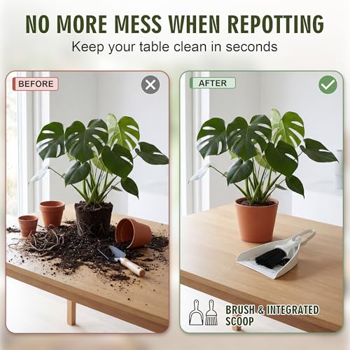 Enhon Mini Soil Scoop and Brush Set for Indoor Plant Repotting | 2 in 1 Plant Scoop Set, Mess Free Repotting, Mini Dustpan and Brush Set, for Succulents, Bonsai & Desktop Plant Care