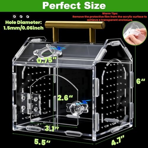 Tlence Jumping Spider Enclosure with Handle, Front Opening Acrylic Arboreal Terrarium with Magnetic Closure, Portable Micro Reptile Habitat for Tarantulas, Frogs, Gecko, Mantis