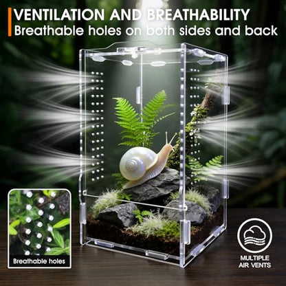 Jumping Spider Enclosure, Insect Terrarium, Bug Cage, Acrylic Terrarium for Tarantula, Snail, Praying Mantis, Frog, and Small Reptiles (4.7" x 4.3" x 7.8") - size: 4.7" x 4.3" x 7.8"