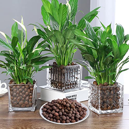 6LBS Leca Expanded Clay Pebbles Hydroponics Supplies for Indoor Garden Plants (6LBS) - size: 6LBS
