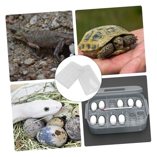 UPKOCH 20grids Practical Hatching Box for Reptile Eggs Design for Easy Monitoring Incubator for Snakes Lizards and Turtles Lightweight and Easy to Clean