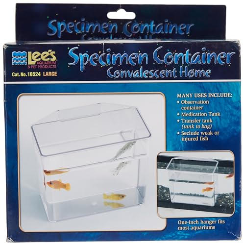 Lee's Convalescent Home/Specimen Container - Large,White , 7 x 3 x 6"