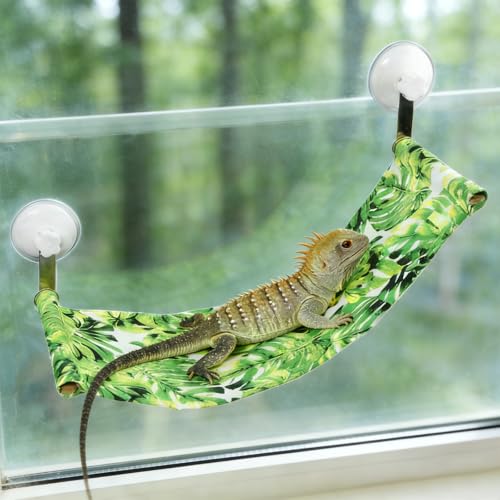 Bearded Dragon Hammock for Window, Bearded Dragon Window Perch with Suction Cups, Reptile Tank Accessories Suitable for Lizard Leopard Gecko Chameleon Kitten Rat (Green)