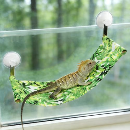 Bearded Dragon Hammock for Window, Bearded Dragon Window Perch with Suction Cups, Reptile Tank Accessories Suitable for Lizard Leopard Gecko Chameleon Kitten Rat (Green)