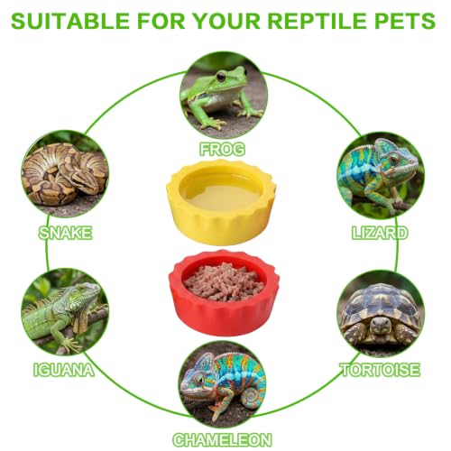 12 Pack Pangea Crested Gecko Food Dish, Reusable Small Reptile Feeding Dish, Water Bowl Crested Gecko Tank Accessories for Hermit Crab Tarantula Isopods Snails Lizard(Silicone, 6 Colors)