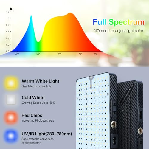Tabletop Grow Lights for Indoor Plants 25 Watt, Bright Natural Sunlight Full Spectrum Plant Growing Lamps for Houseplants & Bonsai, 4/8/12/16/20H Timer Plant Light Auto On/Off Everyday - size: 1Head Tabletop(25W)