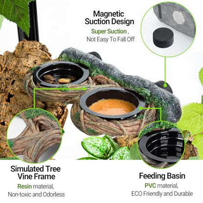 REPTI ZOO Magnetic Reptile Feeding Ledge, Gecko Feeder Ledge with 4PCS Cups, Hollow Vine Food Dish, Reptile Water Bowl for Bearded Dragon Lizard Snake Turtle, Terrarium Tank Accessories - size: Magnetic- Dual Feeder