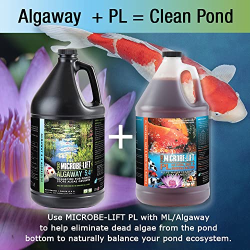 MICROBE-LIFT ALGAGAL Algaway 5.4 Algae Control Treatment for Ponds and Water Gardens, Safe for Koi Fish, Goldfish, Plants, and Decorations, 1 Gallon - size: 1 Gallon