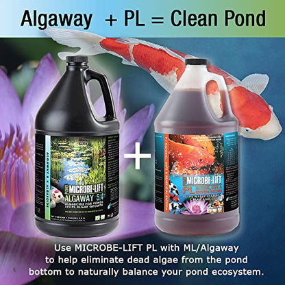 MICROBE-LIFT ALGAGAL Algaway 5.4 Algae Control Treatment for Ponds and Water Gardens, Safe for Koi Fish, Goldfish, Plants, and Decorations, 1 Gallon - size: 1 Gallon
