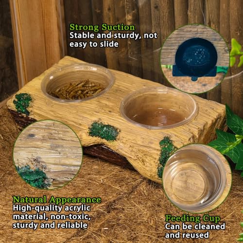 Tfwadmx Magnetic Reptile Feeder Ledge, Gecko Feeder Ledge with 6 Cups Reptile Feeding Bowls Food Dish Water Bowl Tank Accessories for Lizards Chameleons Frog - color: Yellow