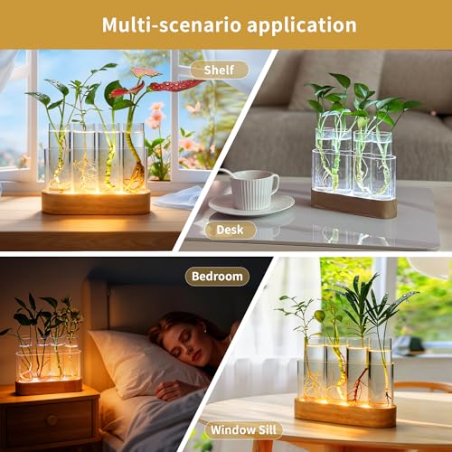 Plant Propagation Station with LED Grow Light, Wooden Stand & 4 Glass Tubes | For Hydroponic Plants, 3 Lighting Modes and 9 Brightness Levels; Desktop Plant Decor and Gift for Plant Lovers