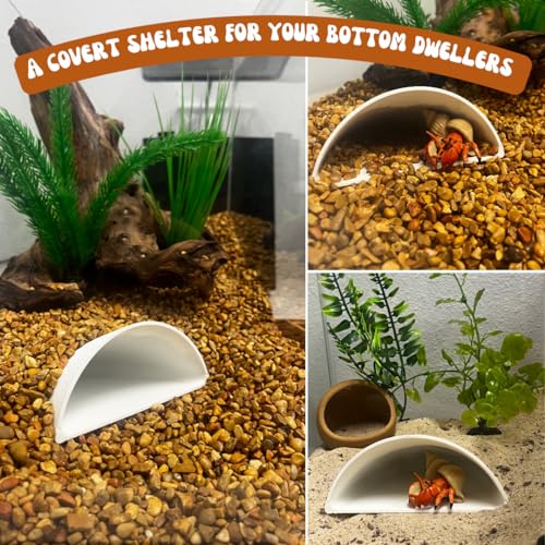 REEFSHAPE Aquarium or Terrarium Pocket Cave | Minimalist Shelter Cave for Fish, Shrimp, Reptiles, Amphibians, & More! | Made in USA (Pocket Cave, White) - style: Pocket Cave, White