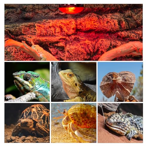 Reptile Heat Lamp Blub, 2Pack 100W Day & Night Reptile Heat Lamp, UVA Daylight Heat Basking Bulb Infrared Heats Light Bulb for Reptiles Bearded Dragon Lizard Turtles