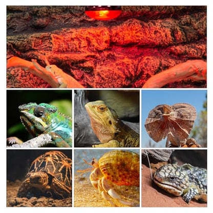 Reptile Heat Lamp Blub, 2Pack 100W Day & Night Reptile Heat Lamp, UVA Daylight Heat Basking Bulb Infrared Heats Light Bulb for Reptiles Bearded Dragon Lizard Turtles