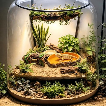 Bearded Dragon Tank Accessories, Terrarium Decor, Ball Python | Leopard gecko,Crested gecko, Chameleon cage accessories,Terrarium plants,Reptile decor,Starter kit,Snake decor,Hermit crab