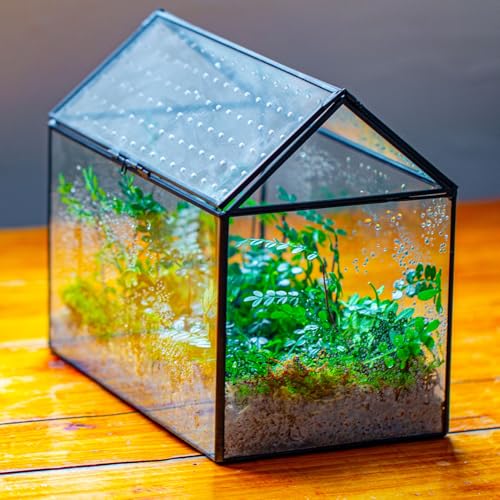 NCYP Glass Terrarium with Acrylic Lid, 10.2x5.9x8.2 Inches House Shape Glass Terrarium for Snails, Indoor Tabletop Decor, Handmade (Plants Not Included)