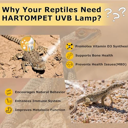 UVB 5.0 13W Desert Reptile Light, Compact Coil UVB Bulb Lamp | Simulates Natural Sunlight, Delivers Strong UVB Rays for Desert Species Like Snakes, Geckos, Lizards & Terrarium Tanks