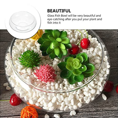 BESPORTBLE Clear Fish Bowl Vase Bubble Bowl Wide Mouth Flower Vase Round Shallow Planter Terrarium Aquatic Plant Pot Daffodil Pot Hydroponic Planter Fish Tank Bowl - size: 25.00X25.00X10.00CM