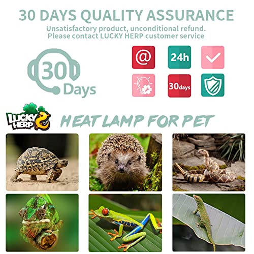 LUCKY HERP 4 Pack 50W UVA UVB Reptile Light Bulbs, Heat Lamp Bulbs for Reptiles and Amphibians, Basking Light Bulb for Turtle, Bearded Dragon, Lizard Heating Use - size: 50*4