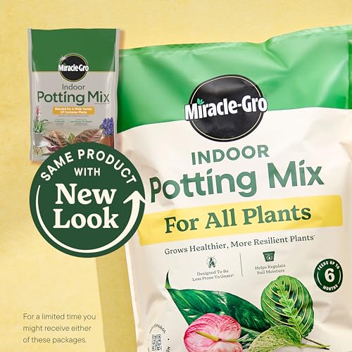 Miracle-Gro Indoor Potting Mix for All Plants, 6 qt., 2-Pack | Use with Houseplants and More, Feeds for up to 6 Months - size: 6 qt (2-Pack), style: 6 QT