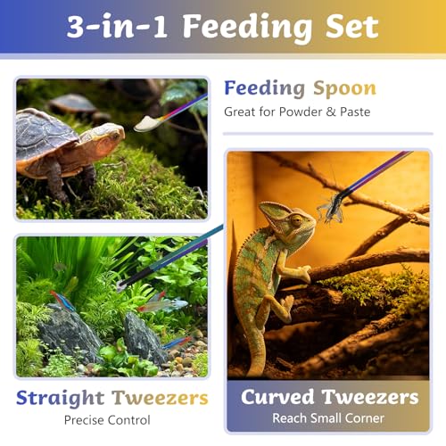 3 PCS Extra Long Stainless Steel Reptile Feeding Tongs and Spoon Set | Reptile Tweezers for Aquarium with Rubber Tip Straight and Curved Terrarium Handle Feeder Tools for Bearded Dragon, Lizards