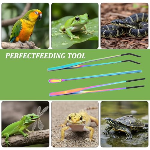 3 Pcs Reptile Feeding Tongs Extra Long Tweezers Stainless Steel with Rubber Tip 10.6" Straight & Curved for Gecko Snake Reptiles Bearded Dragon Terrarium Tank Supplies Aquariums & Crafts