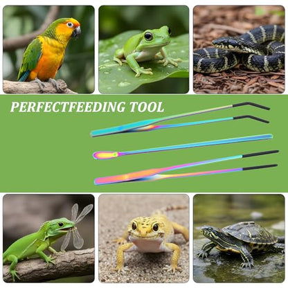 3 Pcs Reptile Feeding Tongs Extra Long Tweezers Stainless Steel with Rubber Tip 10.6" Straight & Curved for Gecko Snake Reptiles Bearded Dragon Terrarium Tank Supplies Aquariums & Crafts