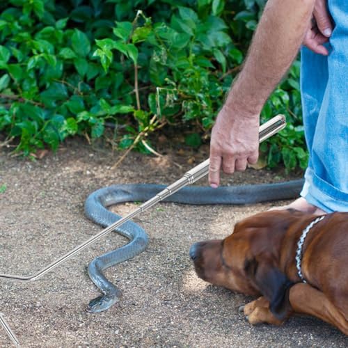 Stainless Steel Retractable Snake Hook and Snake Catcher Pliers Portable Reptile Handling Grabber Tool and Outdoor Use