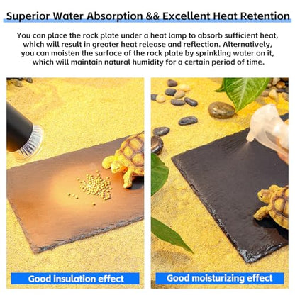 12x8 Natural Slate Basking Platform for Reptiles & Turtles | Non-slip rough slate platform for secure climbing. Holds heat to warm reptiles. feeding tray. Porous slate absorbs water. - size: 12'' x 8''
