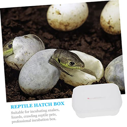 GANAZONO 1Pc Compartment Reptile Hatching Box Transparent Gecko Incubator for Snakes and Lizards Easy to Clean Reptile Breeding Case with Thermometer for Egg Incubation and Reuse