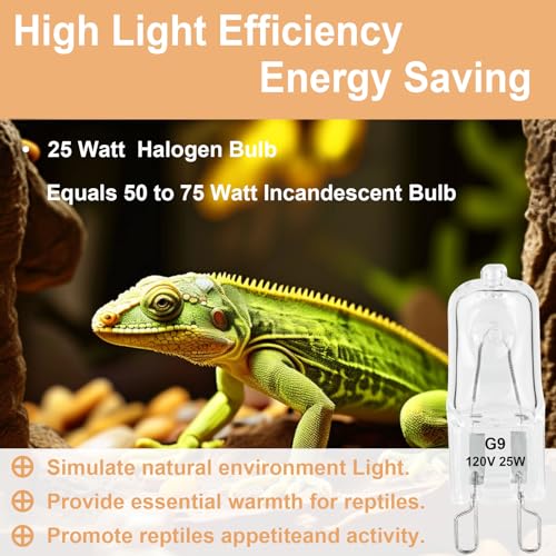 G9 Heat Lamp Bulbs for Reptile,Day White, Mini Halogen Bulb 25W, Infrared Reptile Heat Lamp for Bearded Dragon Gecko Turtle Lizard, Pack of 3 - size: 25W-Pack of 3