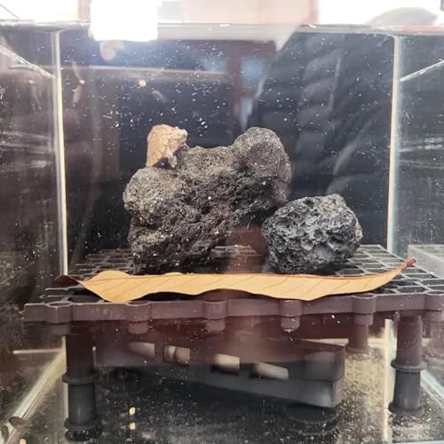 Tfwadmx 10 Pcs Aquarium Black Lava Rock Fish Tank Volcanic Pumice Stones for Betta Fish Shrimp (1.96''-3.14'') - color: Black, size: L:2''-3.2''