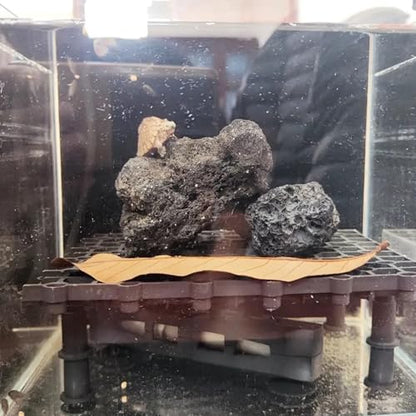 Tfwadmx 10 Pcs Aquarium Black Lava Rock Fish Tank Volcanic Pumice Stones for Betta Fish Shrimp (1.96''-3.14'') - color: Black, size: L:2''-3.2''