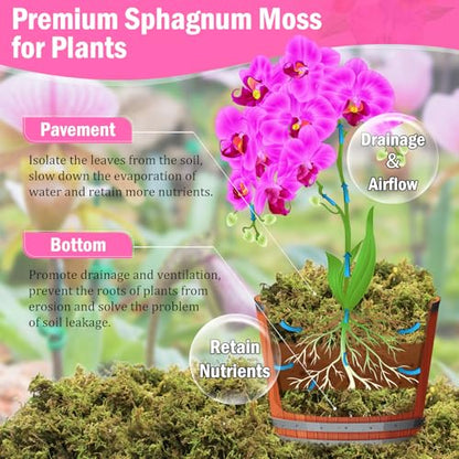 Riare 4.4LB Premium Sphagnum Moss for Plants- 80QT Natural Dried Plant Moss | Moisture Retention & Drainage Orchid Moss for Repotting, Succulents, Carnivorous, Ferns, Green Moss for DIY Craft, Reptiles - size: 80 QT(Appx.4.4lbs)